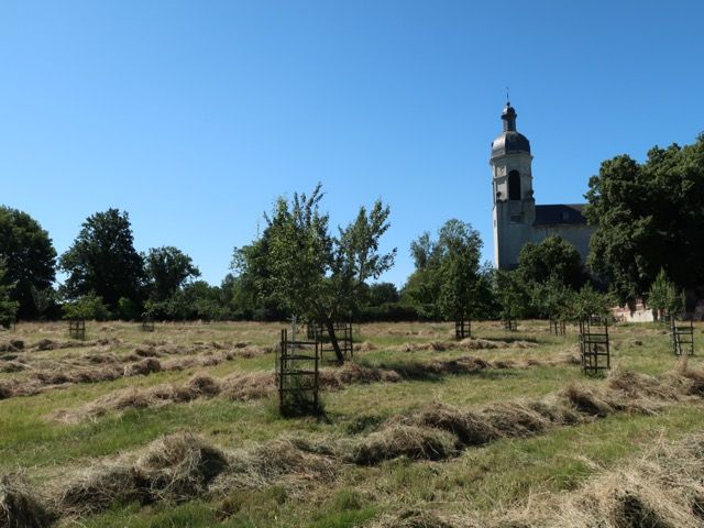 Walk for Nature Vlierbeek