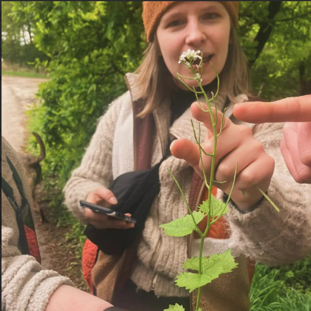 Wildplukwandeling rond de Abdij van Vlierbeek